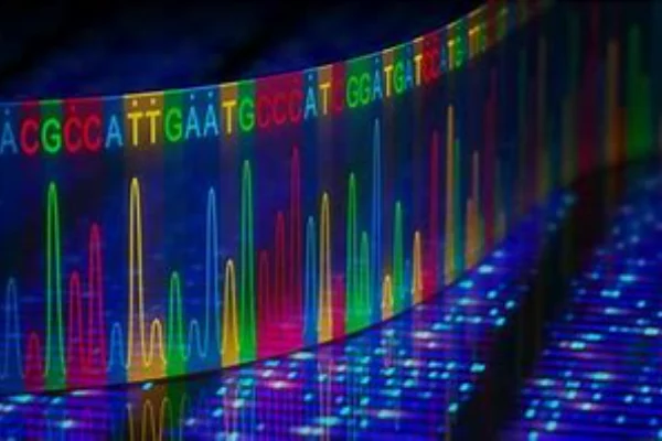 DNA sequencing