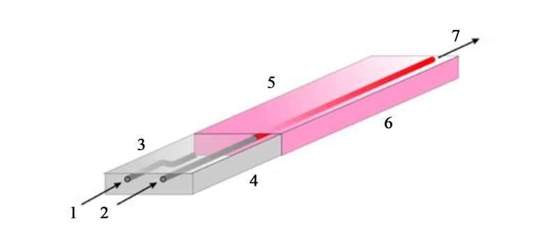 Er glass fiber amplifier For Optical Communication