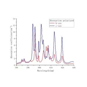 Nd-YAP-absorption-polasrized